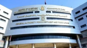 وديعة بـ10 آلاف دولار.. قرار جديد بشأن شروط الحصول على الجنسية المصرية للمستثمرين 1